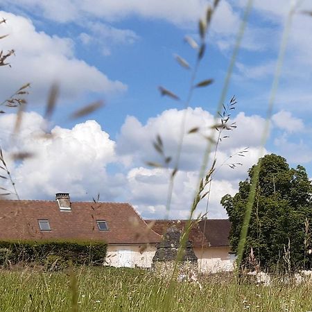 Gites Le Clos De Lamie Avec 2 Piscines Privees Fossemagne Zewnętrze zdjęcie